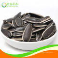 big sale sunflower seeds from Mongolia 3638 $1000